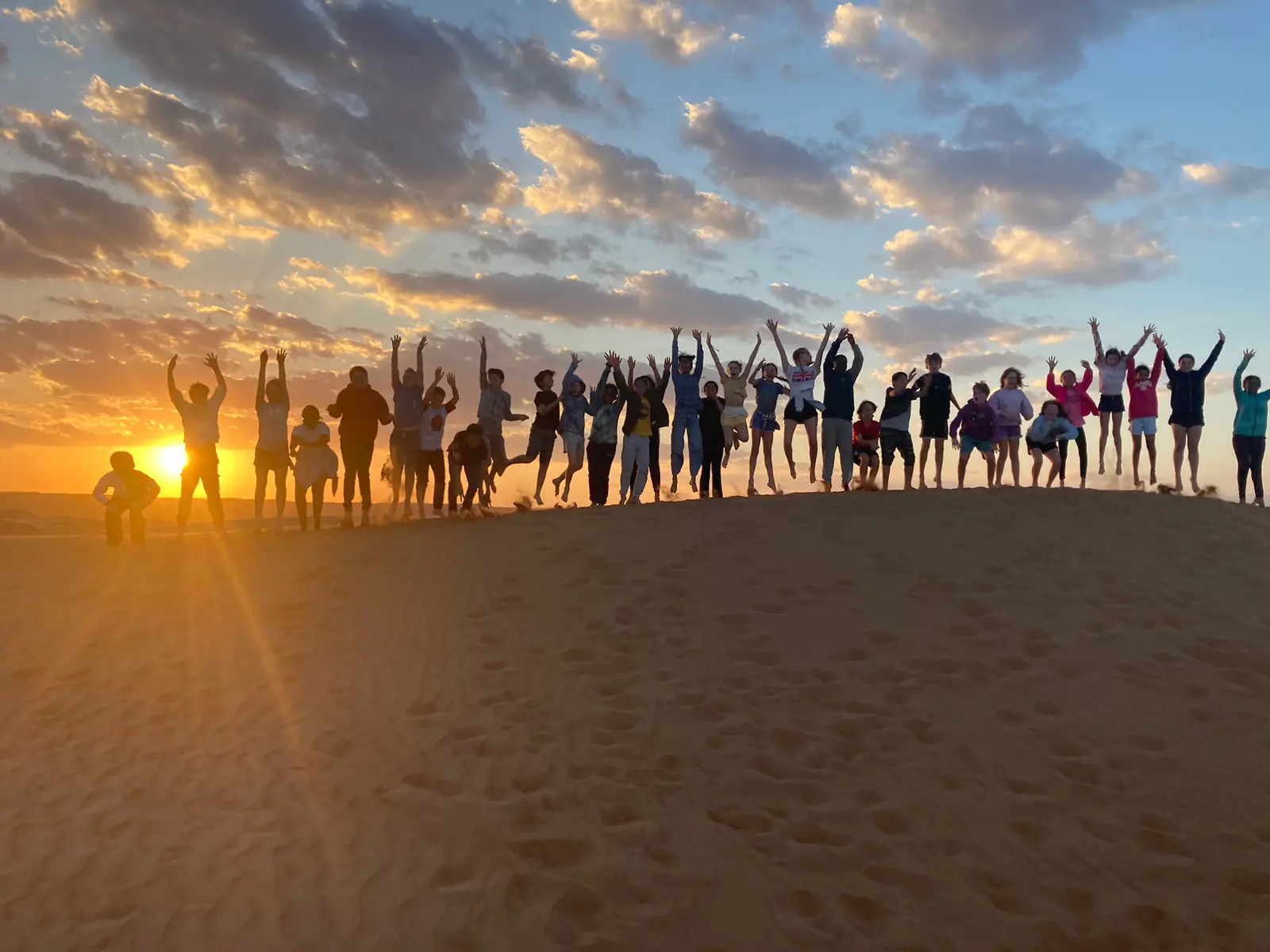  OptimizedImage,,,Optimized